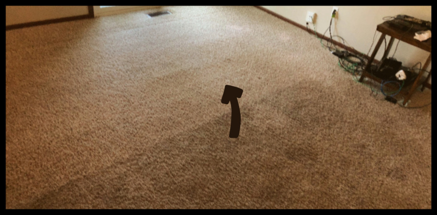 living room carpet being cleaned